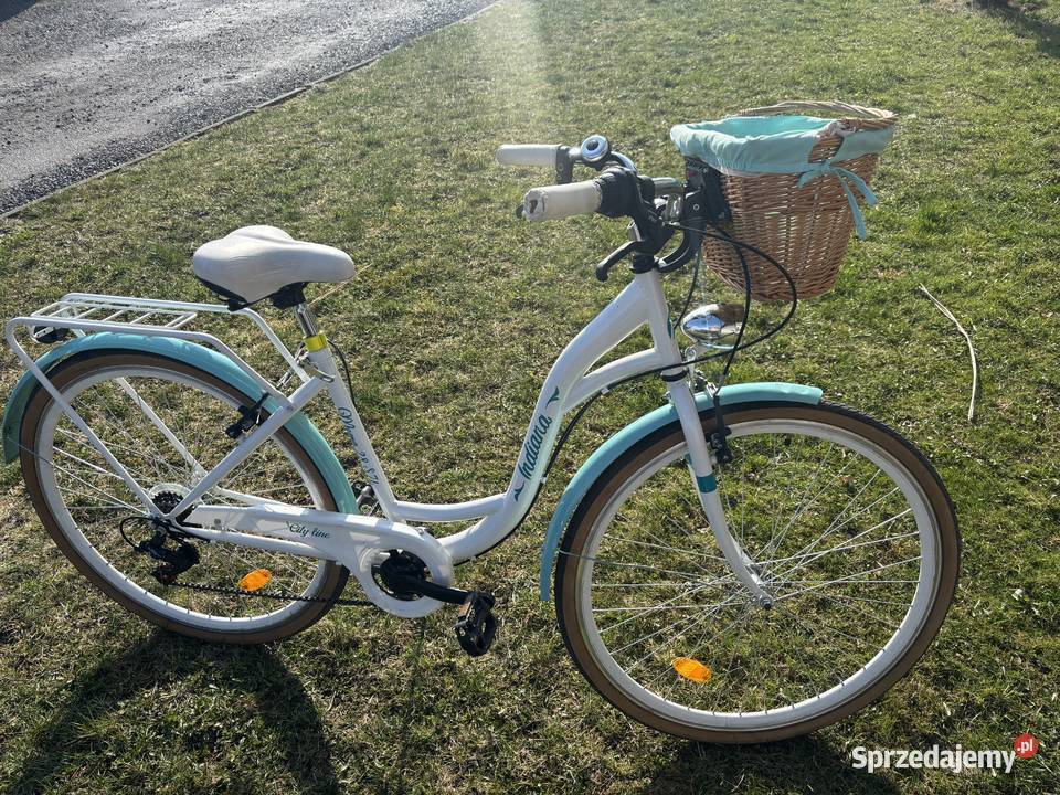 Rower damka z koszykiem Wisła Wielka
