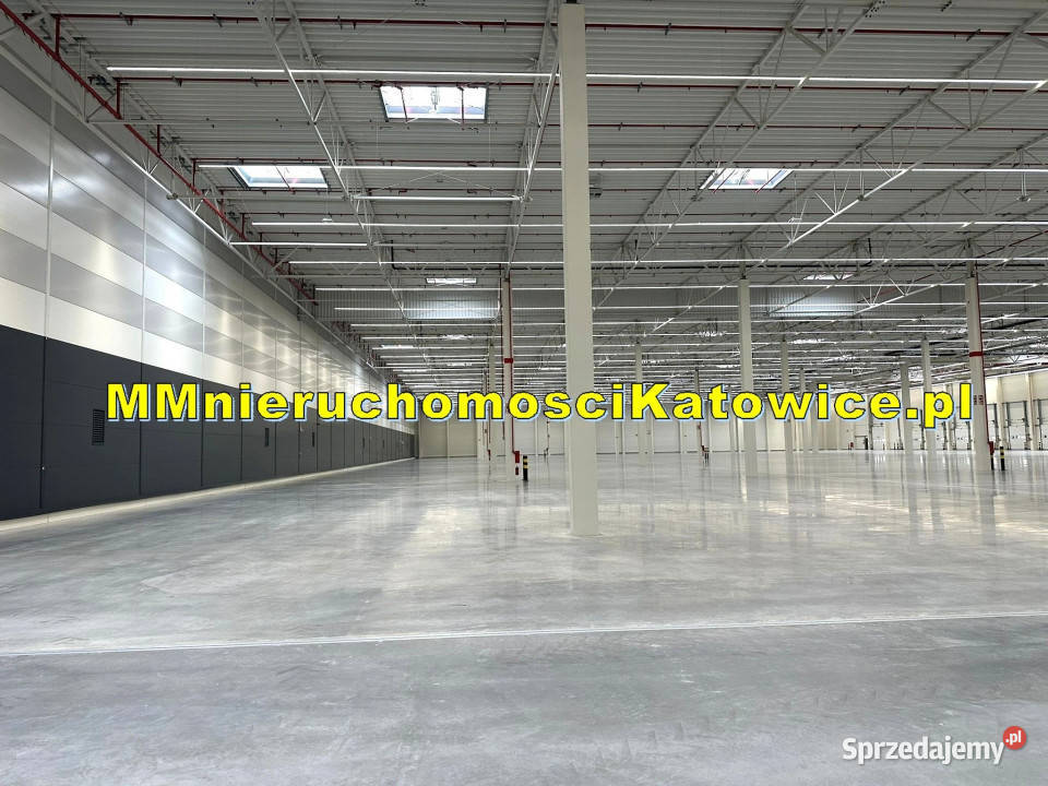 Magazyny Mysłowice A4 i S1 do wynajęcia biura