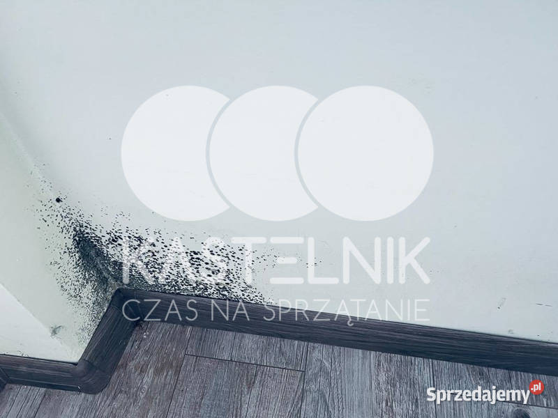 Ozonowanie pomieszczeń Ostrowiec Świętokrzyski Ozonowanie, usuwanie zapachów