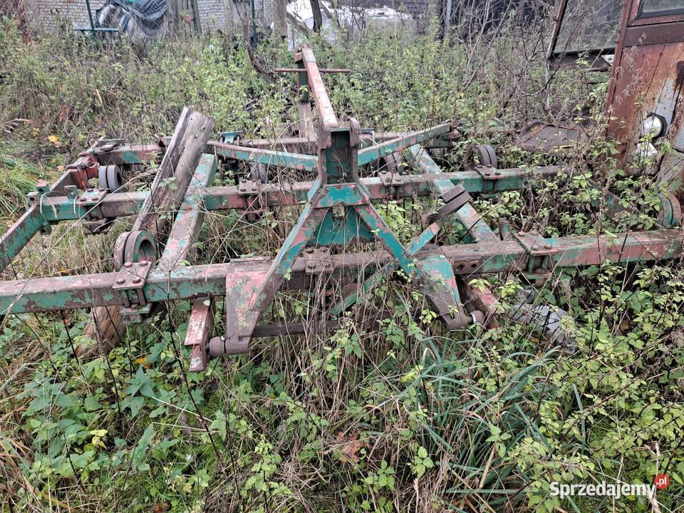 Gruber nieuszkodzony pomorskie Miastko