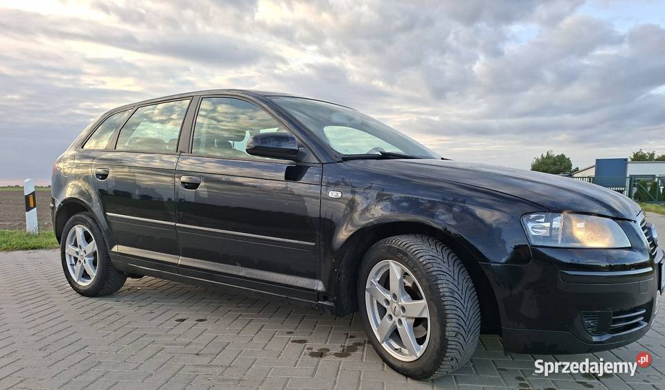 Audi a3 8p Sportback 19tdi 105 2007 Chełmno sprzedam