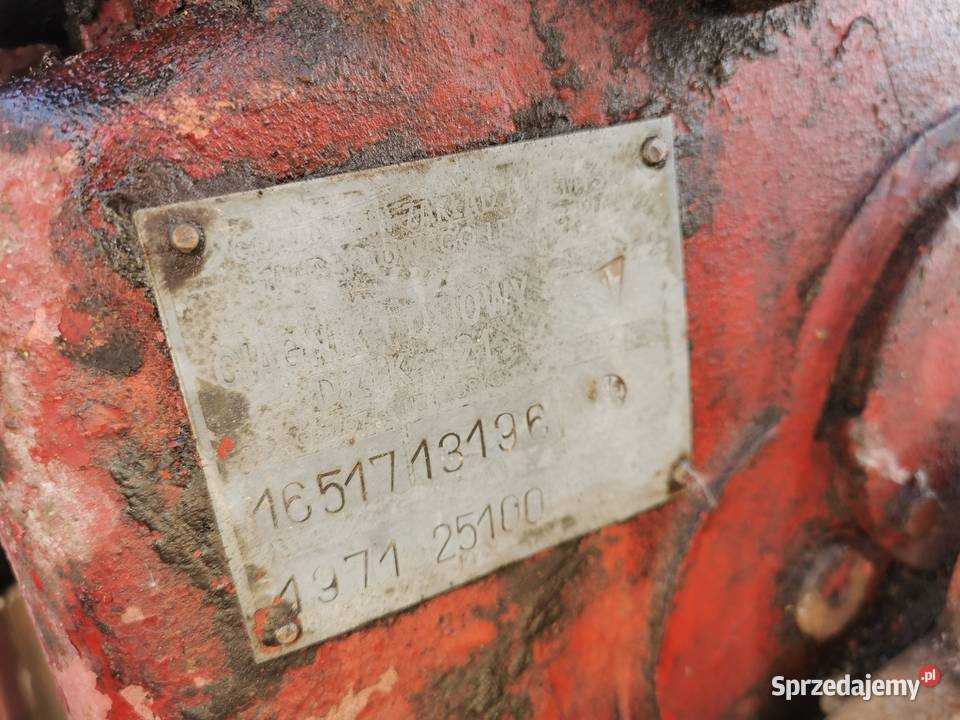 DZIK 21 Pozostałe Połom Duży sprzedam