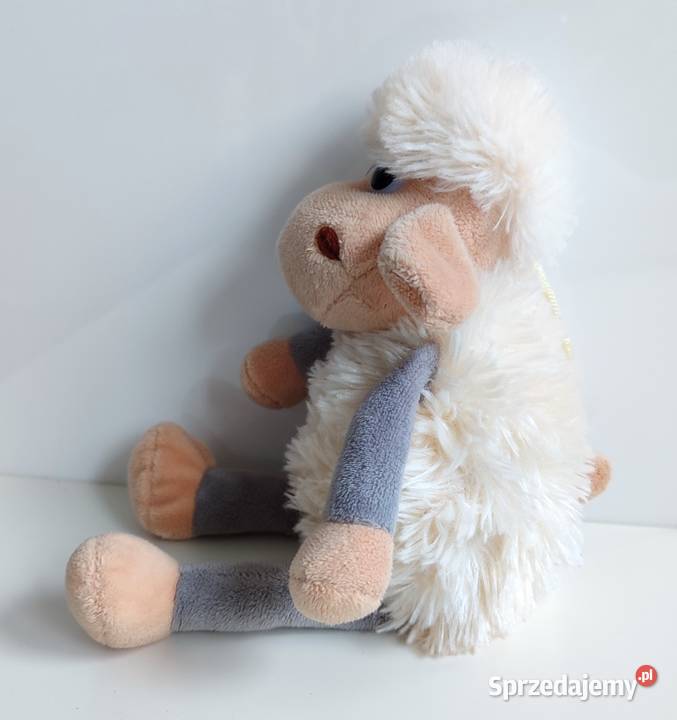 Owieczka SunDay Katowice