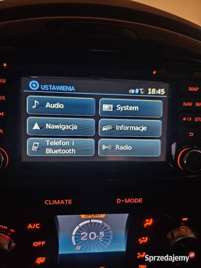 Nissan Juke 2013r 16 117