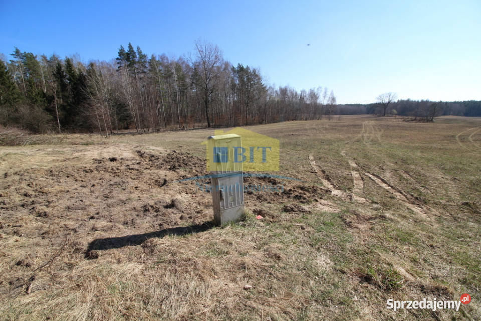 Działka 3002m2 w pięknym miejscu Dąbrowica sprzedam