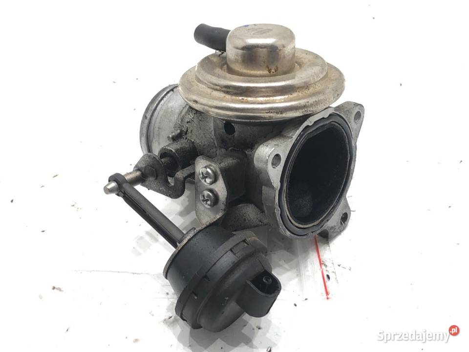 PRZEPUSTNICA AUDI A4 B6 EV076 19 116 0005 ZAWÓR