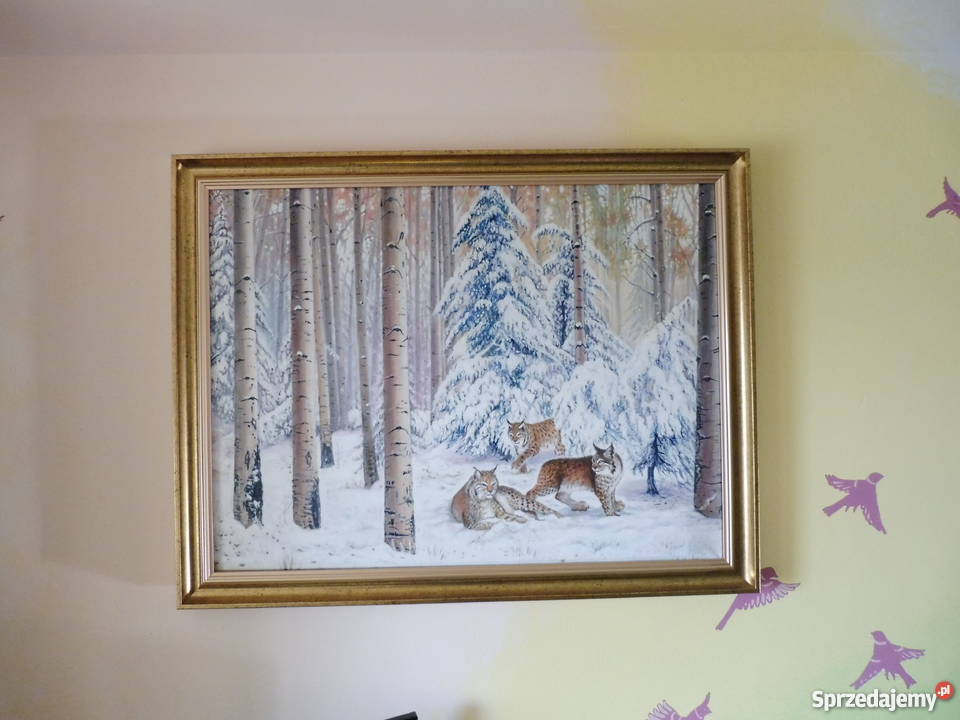 Rysie w lesieolej 80x60 Kraków