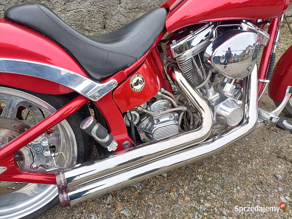 Big Dog Mastiff Harley wwwmotobazarprl Padniewko