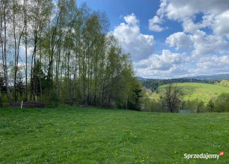 Dom na sprzedaż miejscowość Czarna powiat