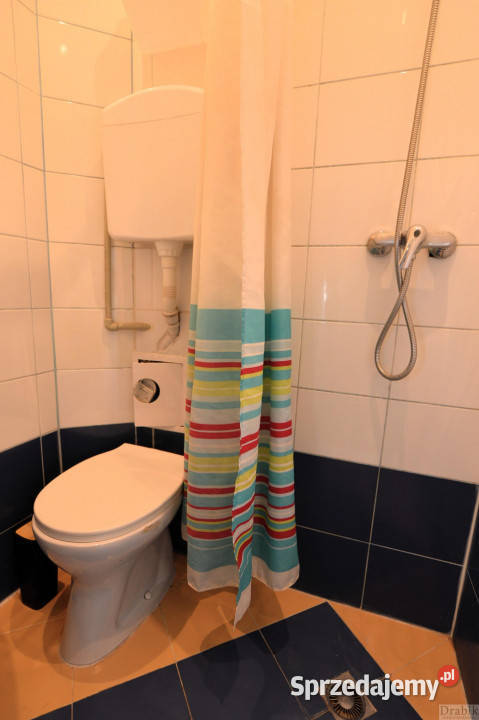 Do wynajęcia mieszkanie 2137m2 1 pokój Kraków Wynajem małopolskie