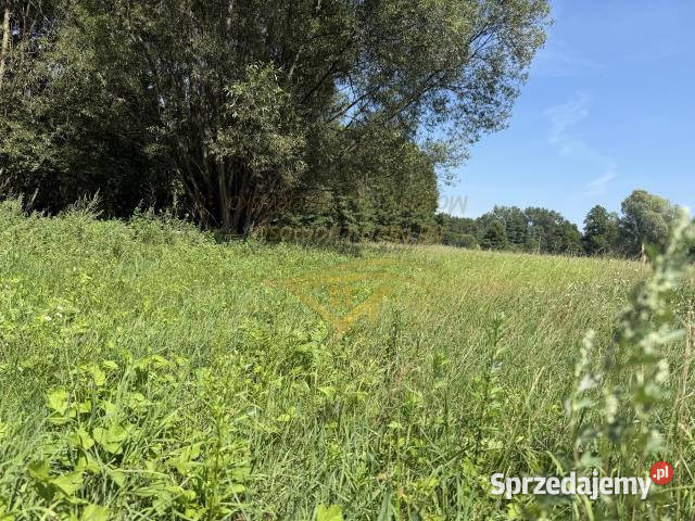 sprzedaży działki Budy Zosine 5700m2 sprzedam