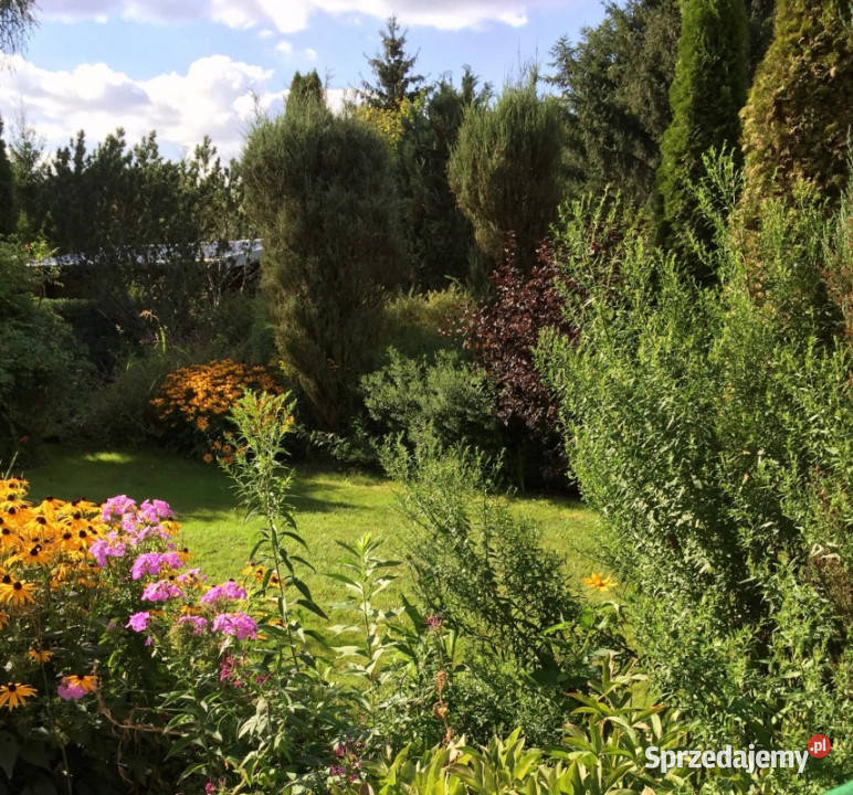 Działka rekreacyjna ROD Ząbki