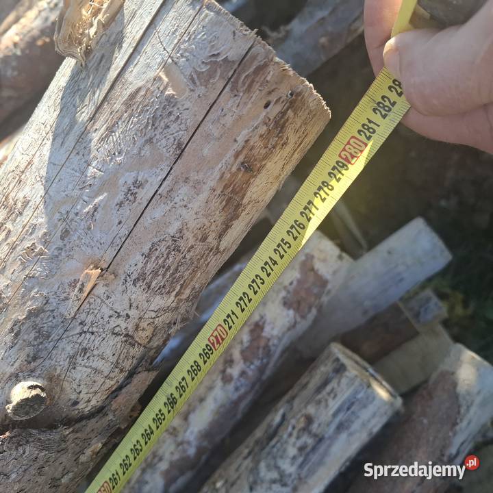 Stęple podkarpackie Jagodnik