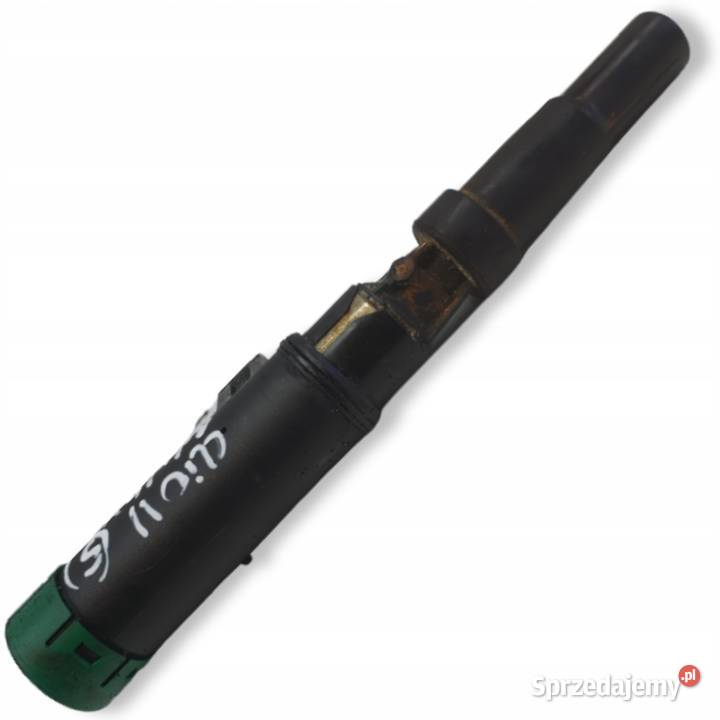 CEWKA ZAPŁONOWA Renault Clio II 14 16V 216031219 Rudka