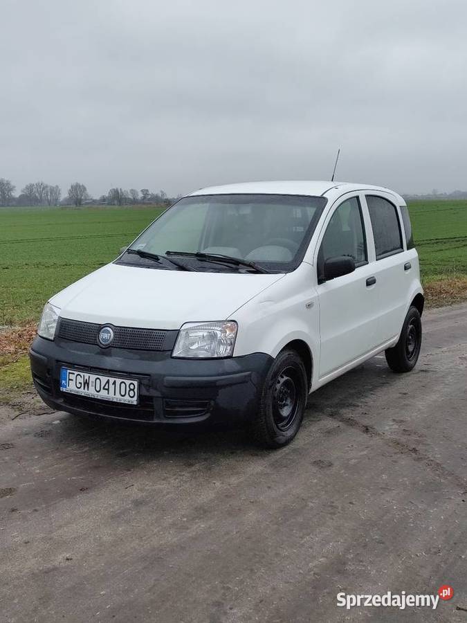 Fiat panda Gorzów Wielkopolski