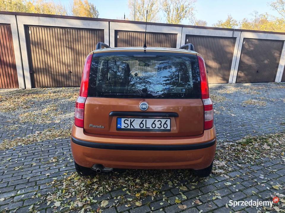 Panda oszczędny i zdrowy Sosnowiec