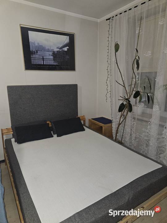 2 pokdo wynajecia Wynajem