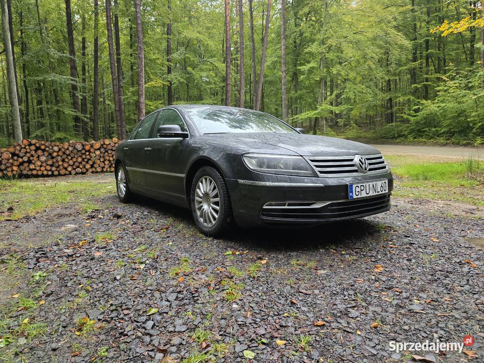 Vw Phaeton nieuszkodzony