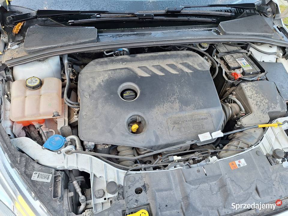 Ford Focus Mk3 16 Diesel 115 Ostrów Wielkopolski