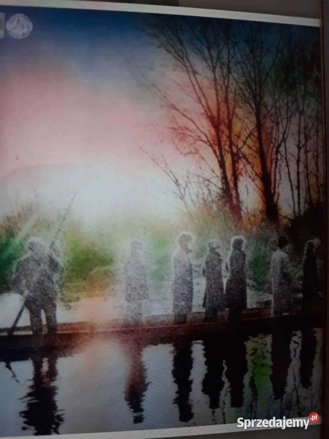 Perełka włoskiego Prog Rocka MAXOPHONE Italian Rzeszów