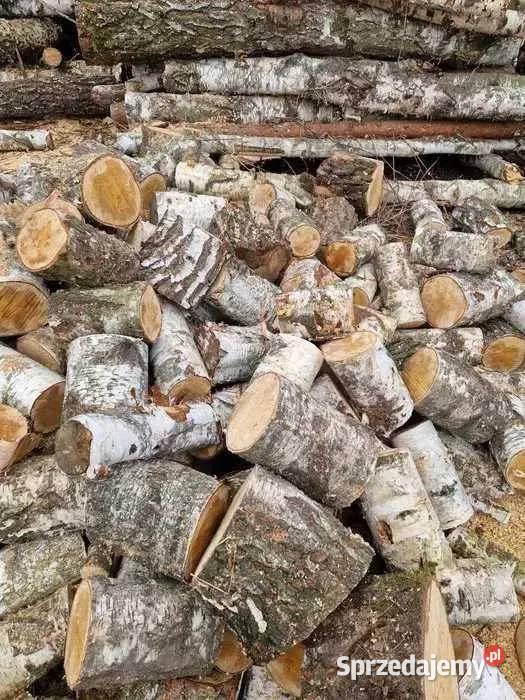 Drewno kominkowe opałowe kominka brzoza 1 4L Łódź