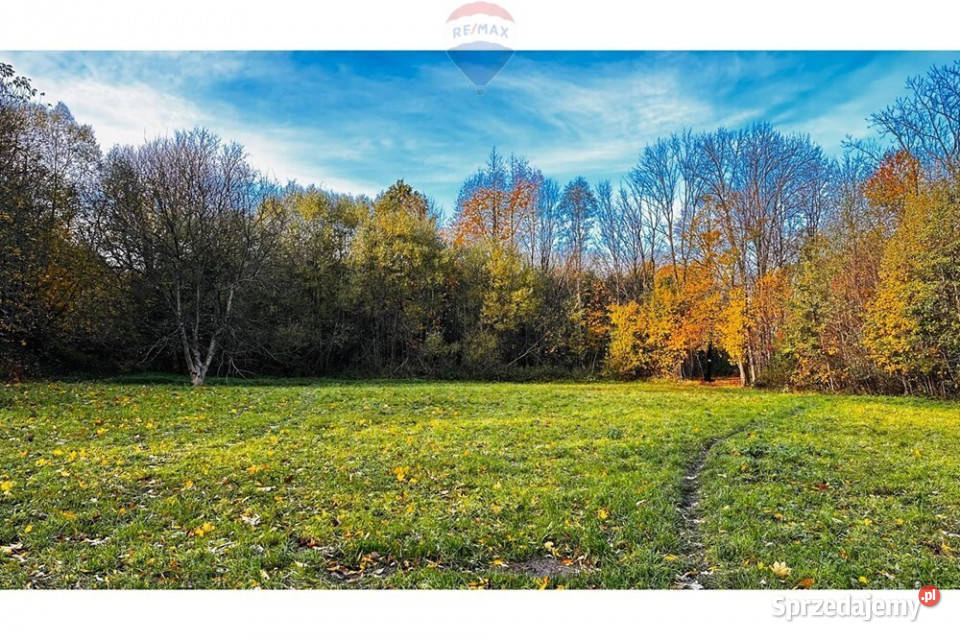 Działka 113 ha 33 m2 asfalt Bielsko-Biała sprzedam