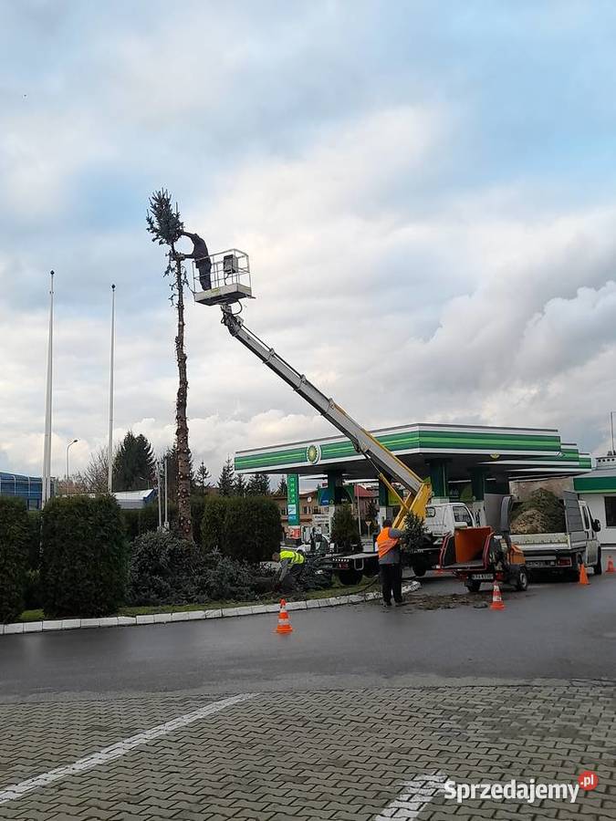 Wycinka przycinka drzew Podnosnik koszowy Rębak Skawina