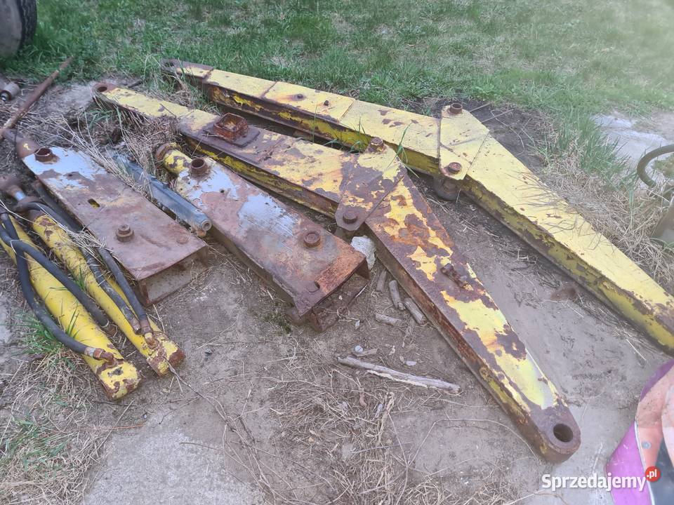 przedni tur Ostrówek nieuszkodzony Kąty Węgierskie