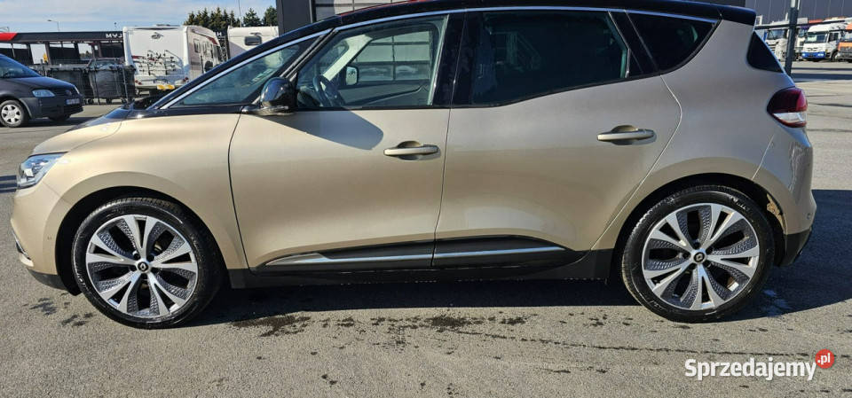 Renault Scenic Scenic 117 IV 2016 benzyna Pleszew