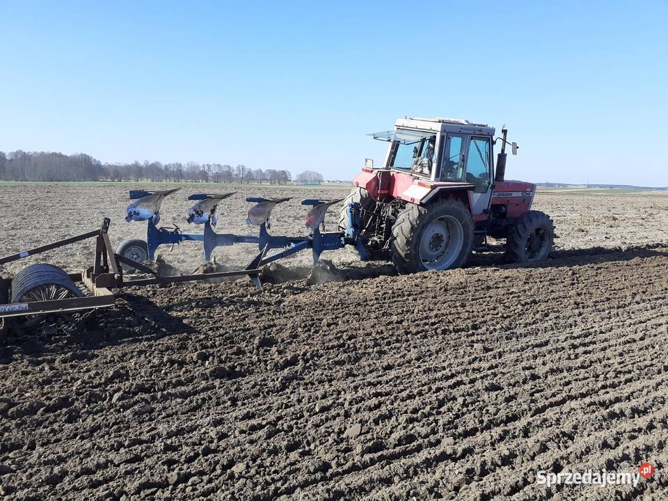 Massey ferguson 1014 Perkins nieuszkodzony Bukówiec Górny