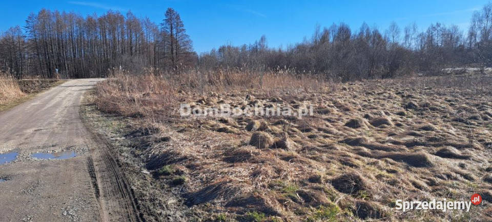 Działka Borek 4572m2