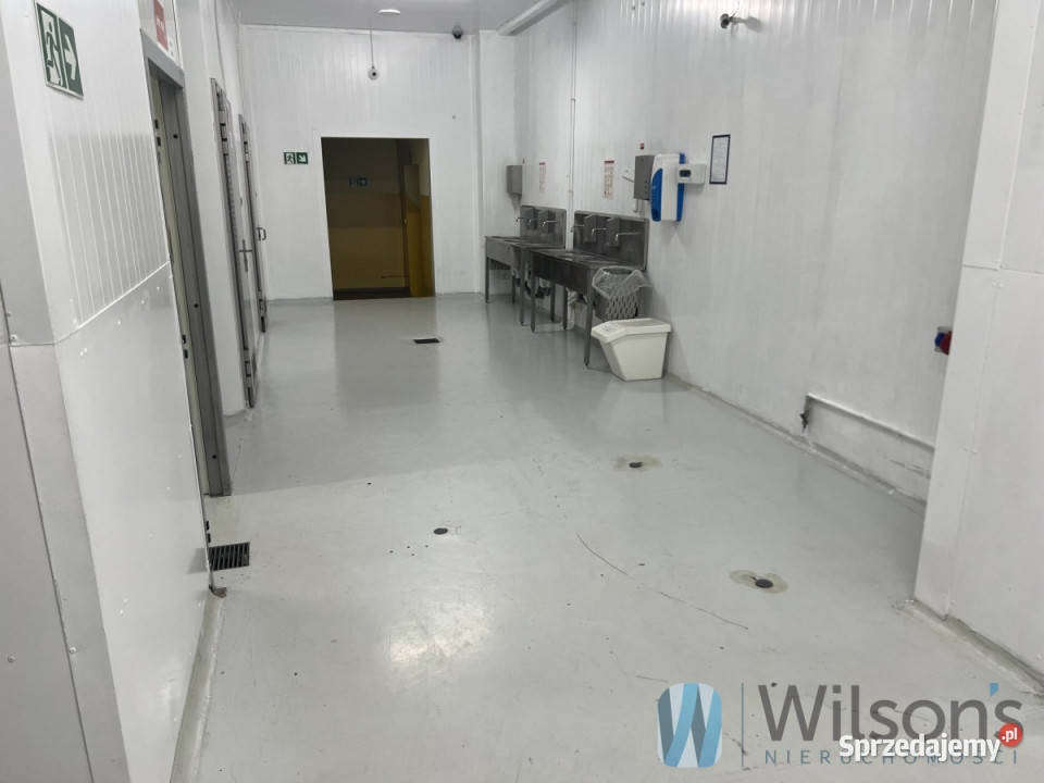 Lokal Nowe Lipiny Szosa Jadowska 3000m2 mazowieckie sprzedam