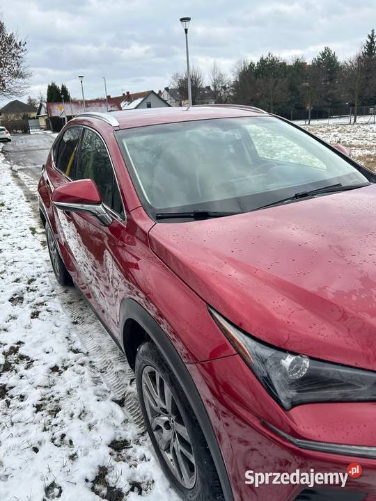 LEXUS NX 300h AWD Salon Wysoka