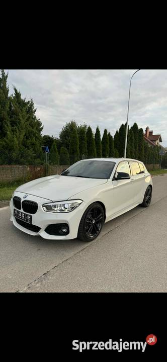 BMW F20 20d 125tyskm M Pakiet 125378km