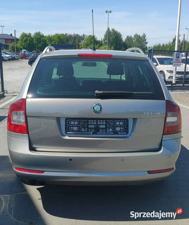 koda Octavia SKODA Octavia C II 20042013 lakier metallic Lipówki