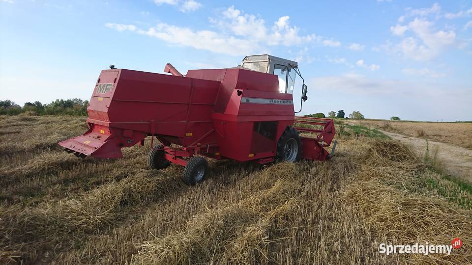 Massey ferguson 16 małopolskie Michałowice