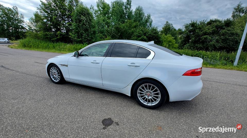 Jaguar XE 2014 Sedan 20 TD Navi Skóra Bi Ksenon 2000cm3