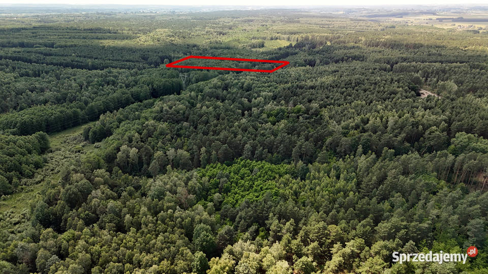 Działka leśna 161 ha Wólka Bosowska 2zł/m2 świętokrzyskie