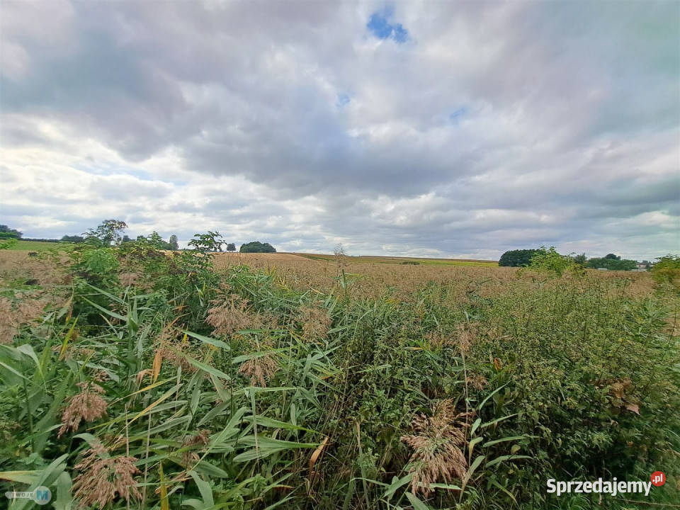sprzedaży domu 57m2 Ożarów