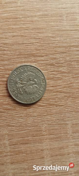 6 50 gr 1949191 okazjaa dolnośląskie Polkowice