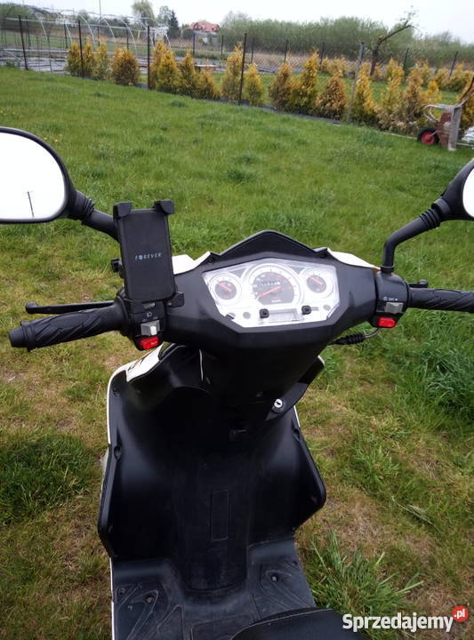 barton firefox 50 Święcice