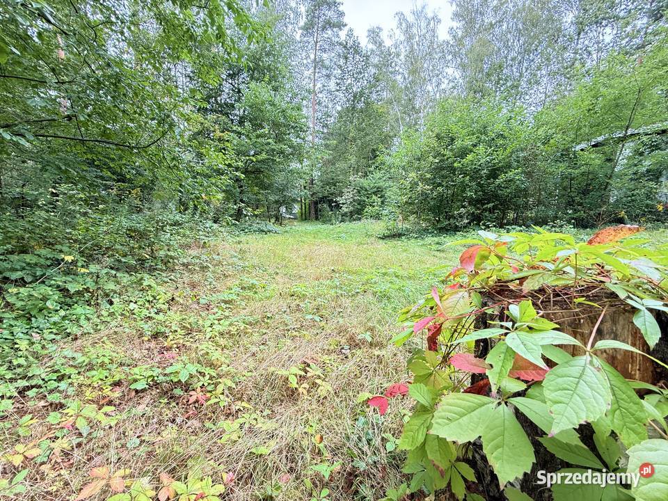 Działka budowlana w Rosanowie wz pozwolenie na Nieruchomości Rosanów