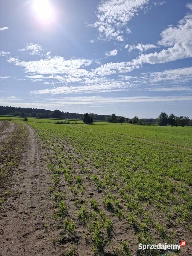 Działka budowlana pomorskie Broda sprzedam