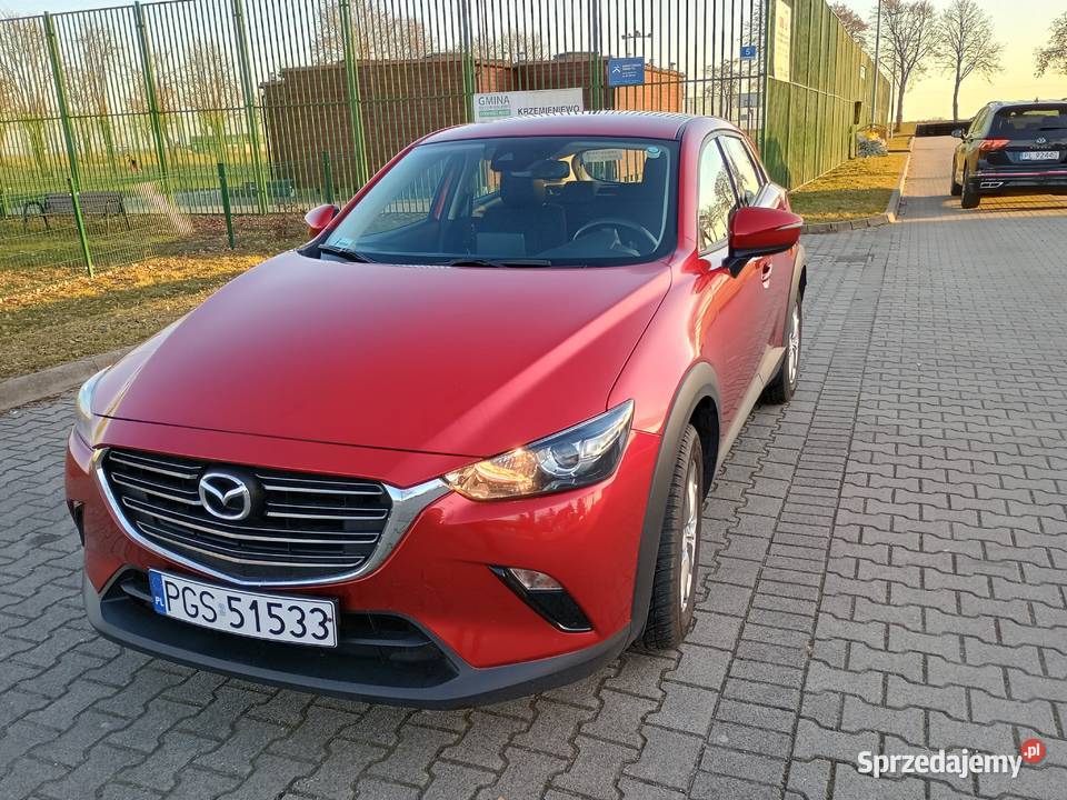 Sprzedam Rok produkcji 2019 Gostyń sprzedam