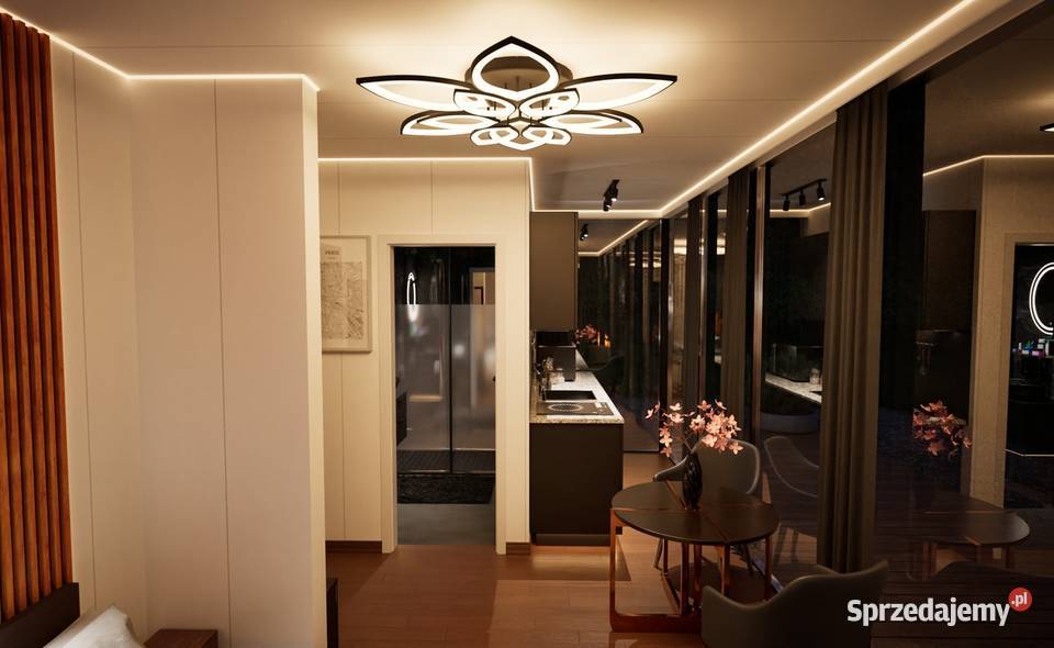 Mirror House URAN 20 Dom mobilny 20 m2 KIERYK podkarpackie Przemyśl