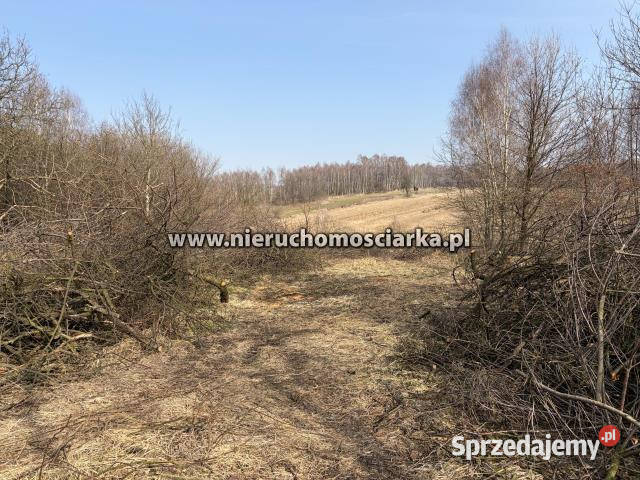 Działka Wodzisław Śląski 1353m2 utwardzona Grunty i działki