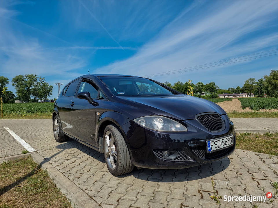Sean Leon II 14 TSI 125 Drivers edition niski welurowa tapicerka Dobiegniew