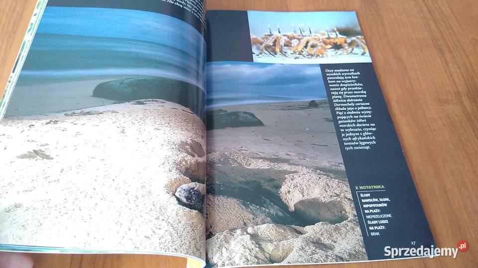 National Geographic Polska 8 23 sierpień 2001