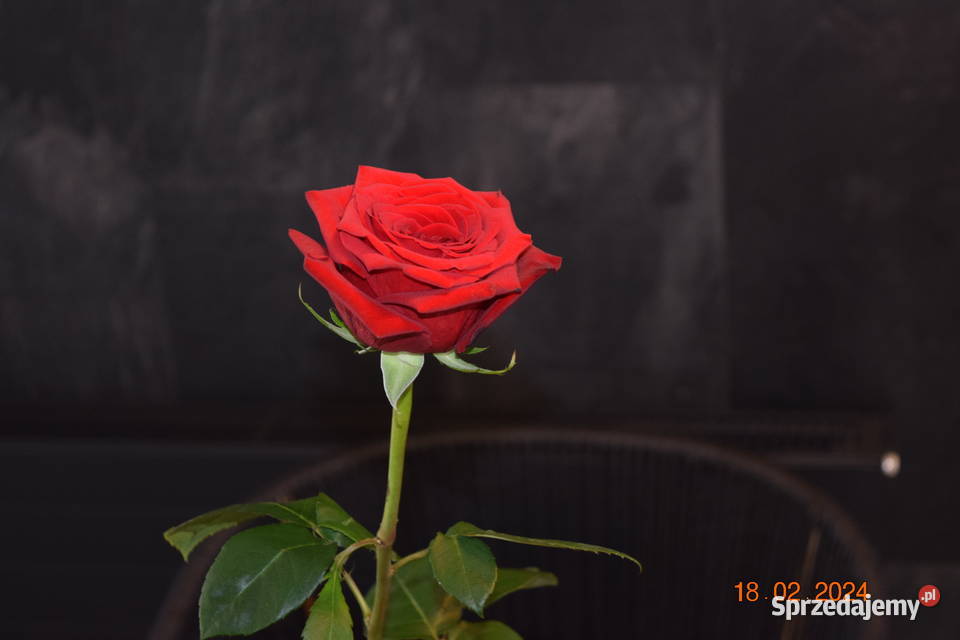 zestaw ogrodowy 61 technoratan obiadowy stół