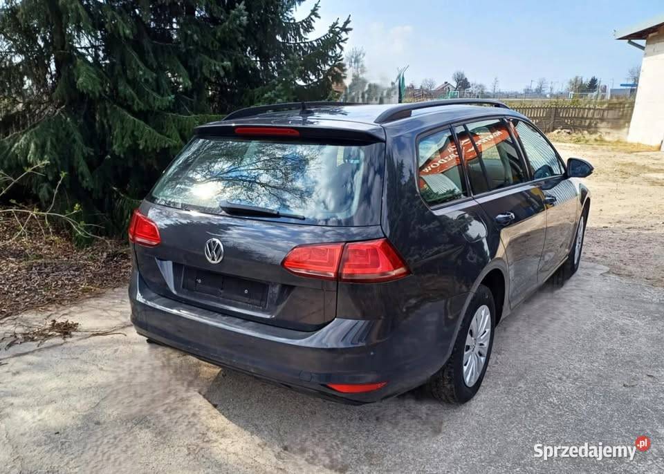 Volkswagen Golf 16 TDI 110 Golf Kiernozia sprzedam